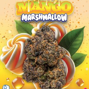 Honey Mango Marshmallow